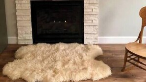 A fireplace with a deer head decoration above it, a white brick surround, and a fur rug on the floor. - *Sandpoint Cottage* Cozy, Charming, & Conveniently located (Sandpoint)