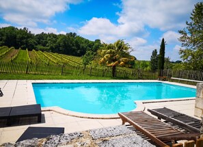 A swimming pool with lounge chairs and a view of a vineyard.