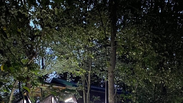 A wooden staircase with metal railings, surrounded by greenery and trees.