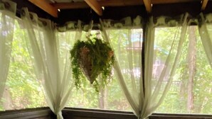 A hot tub in a room with wooden walls and a green floor, curtains, and a hanging plant.