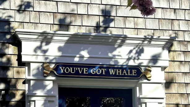 A blue door with a sign above it that reads "You've Got Whale."