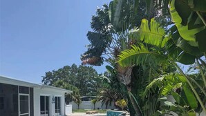 A swimming pool with a curved design, surrounded by stone tiles and tropical plants. - Tropical paradise! Spa, heated pool, 2 miles from Siesta Key beach, very private (Sarasota)