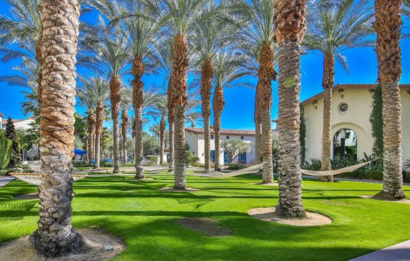 A courtyard with palm trees, a hammock, and a building with a tiled roof.