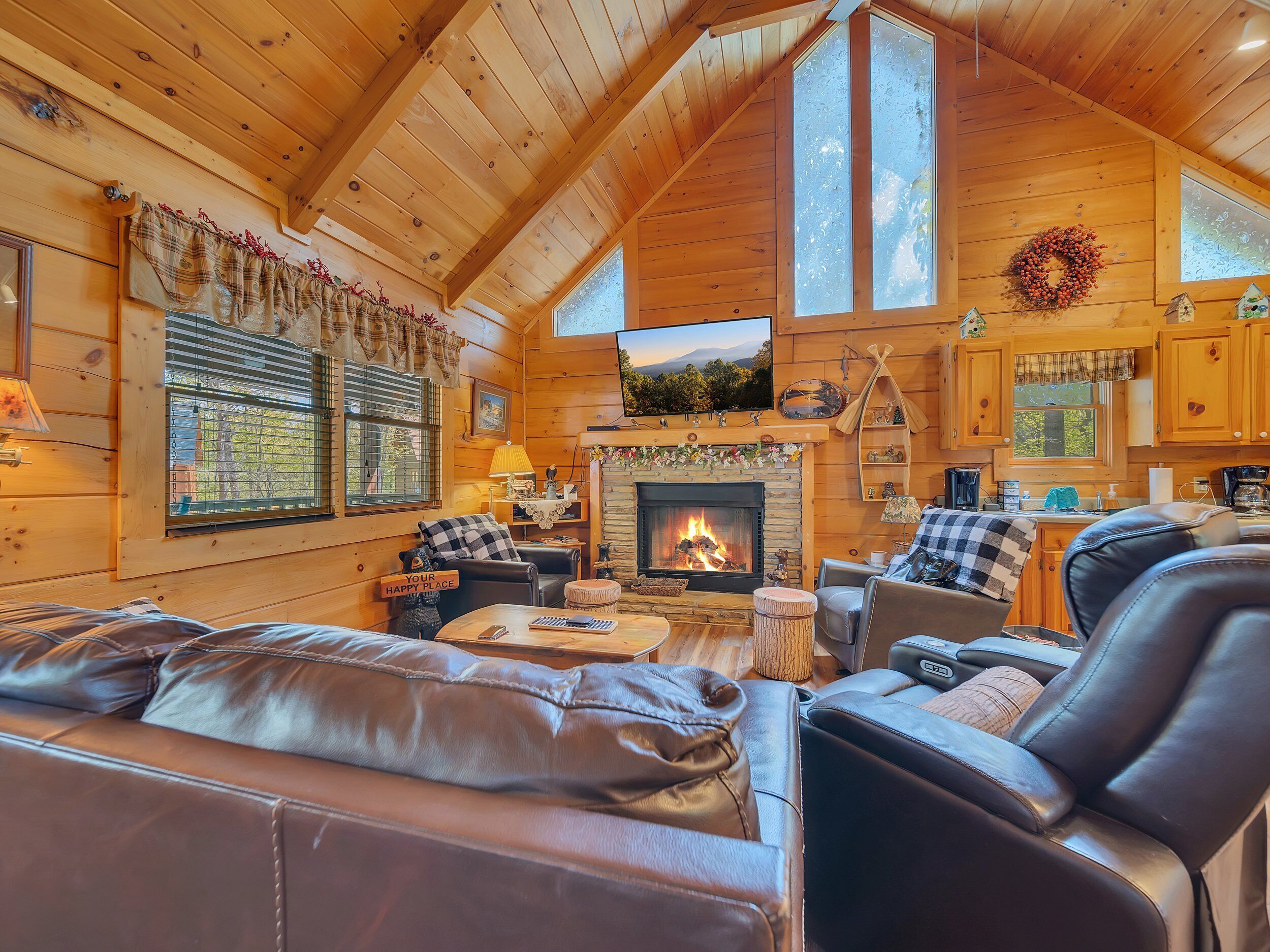 Télévision, cheminée, lecteur de DVD