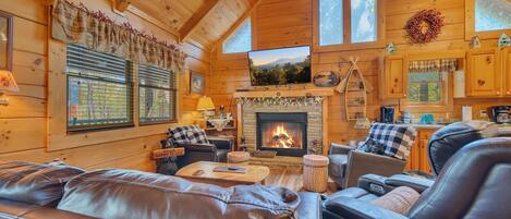 Télévision, cheminée, lecteur de DVD