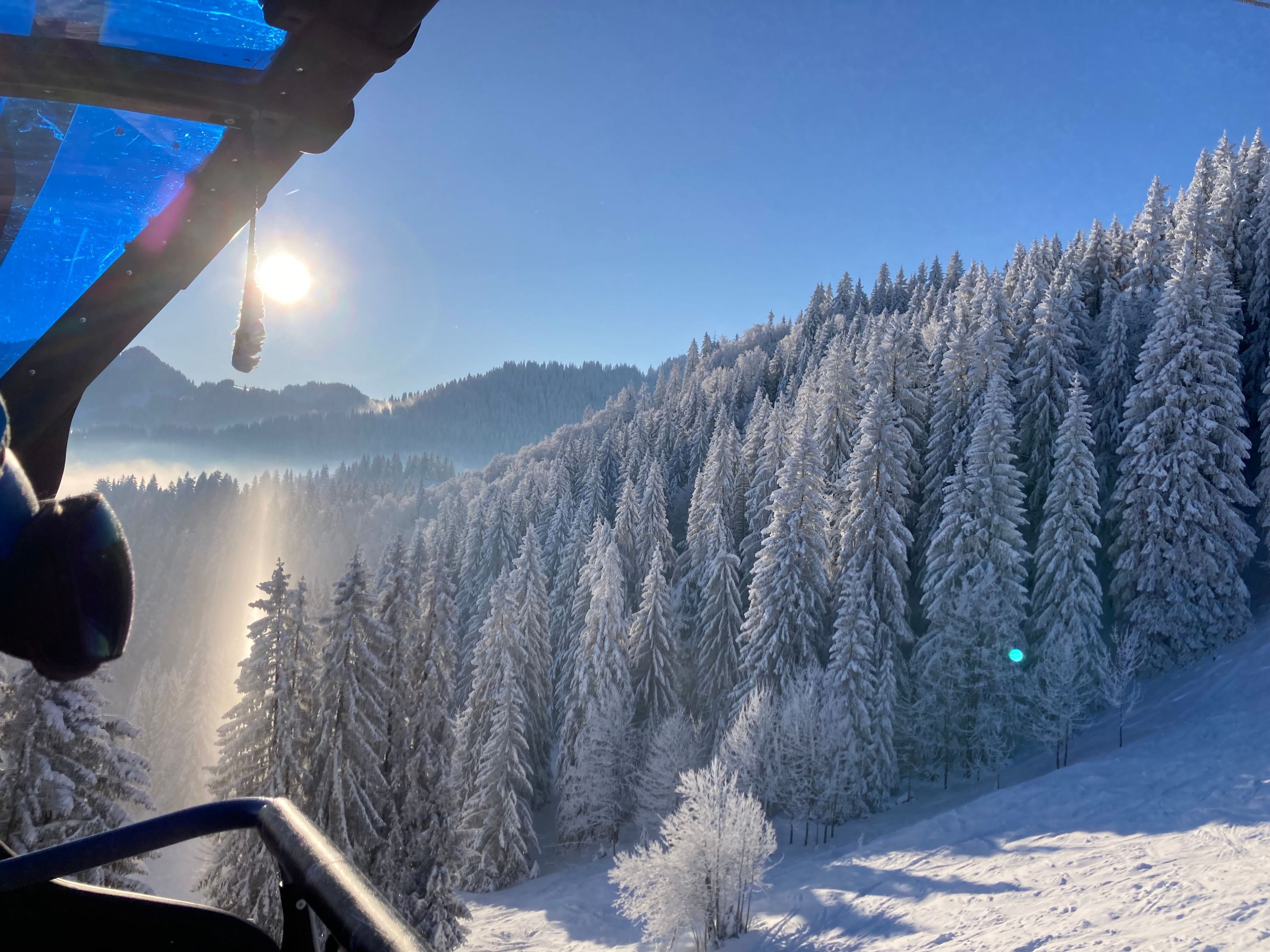 A snowy forest with a clear sky and a mountain in the background.