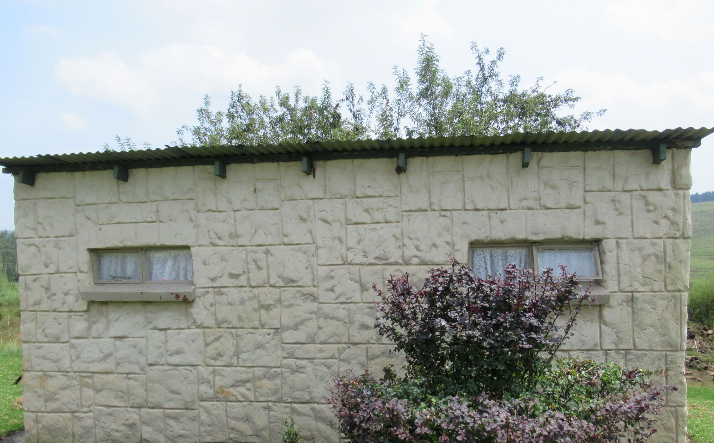 Kamar