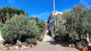 A pathway leading to a building with a stone staircase, surrounded by various shrubs and potted plants.