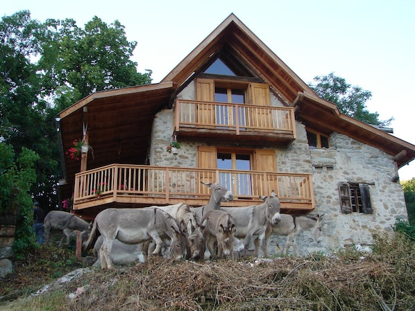 Exterior