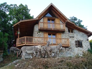 Exterior - Mountain chalet / Mercantour / Haut-Verdon (COLMARS (04370))