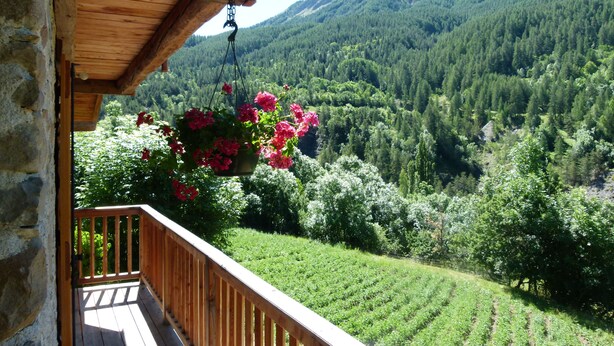 Un balcon en bois avec un pot de fleurs suspendu.