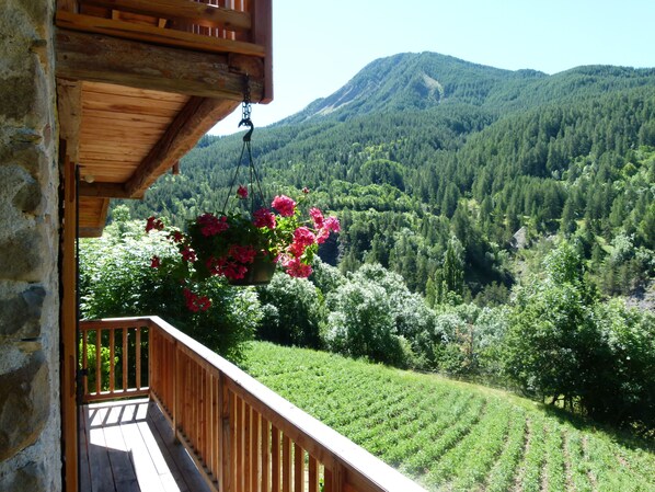 Property grounds - Mountain chalet / Mercantour / Haut-Verdon (COLMARS (04370))