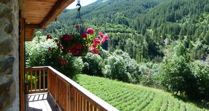 Mountain chalet / Mercantour / Haut-Verdon