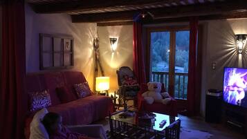 TV connectée, cheminée, lecteur de DVD, livres