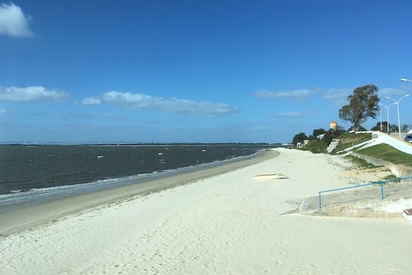 Sun loungers, beach towels