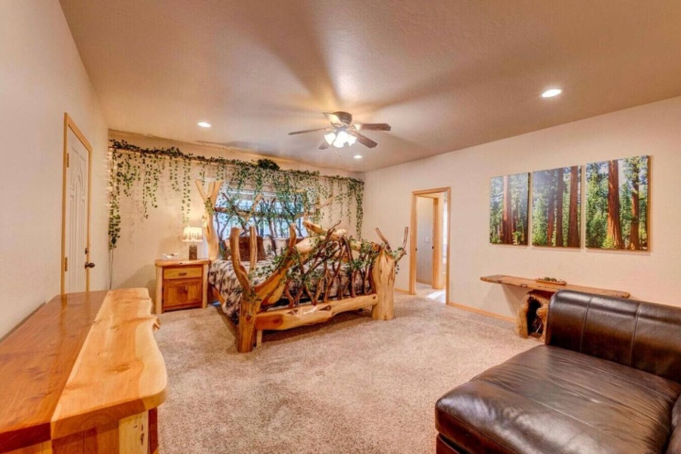 Smart TV, fireplace, DVD player, books