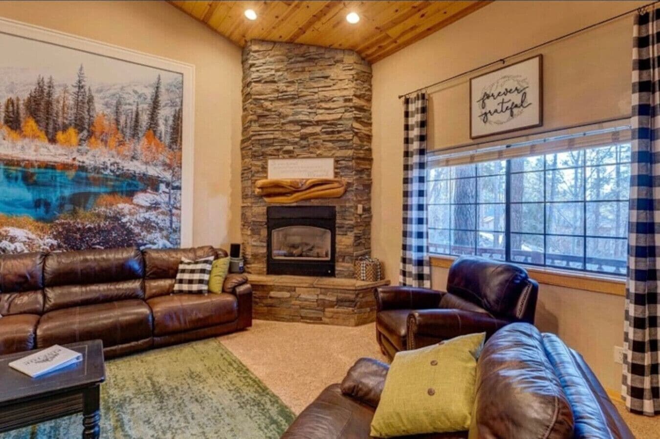 Smart TV, fireplace, DVD player, books