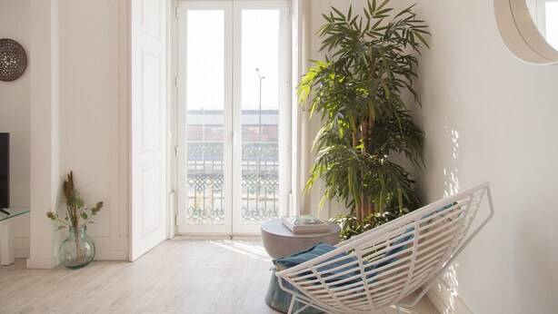 Een lichte kamer met een witte deur, een kamerplant, een witte stoel en een kleine tafel met een boek.