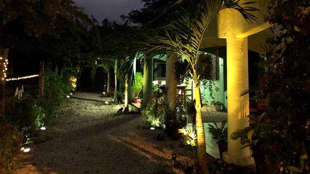 A pathway leading to a building with a covered patio area, surrounded by greenery and potted plants. - Tropical Patio & Garden, Walk to Samara Beach
 (Sámara)