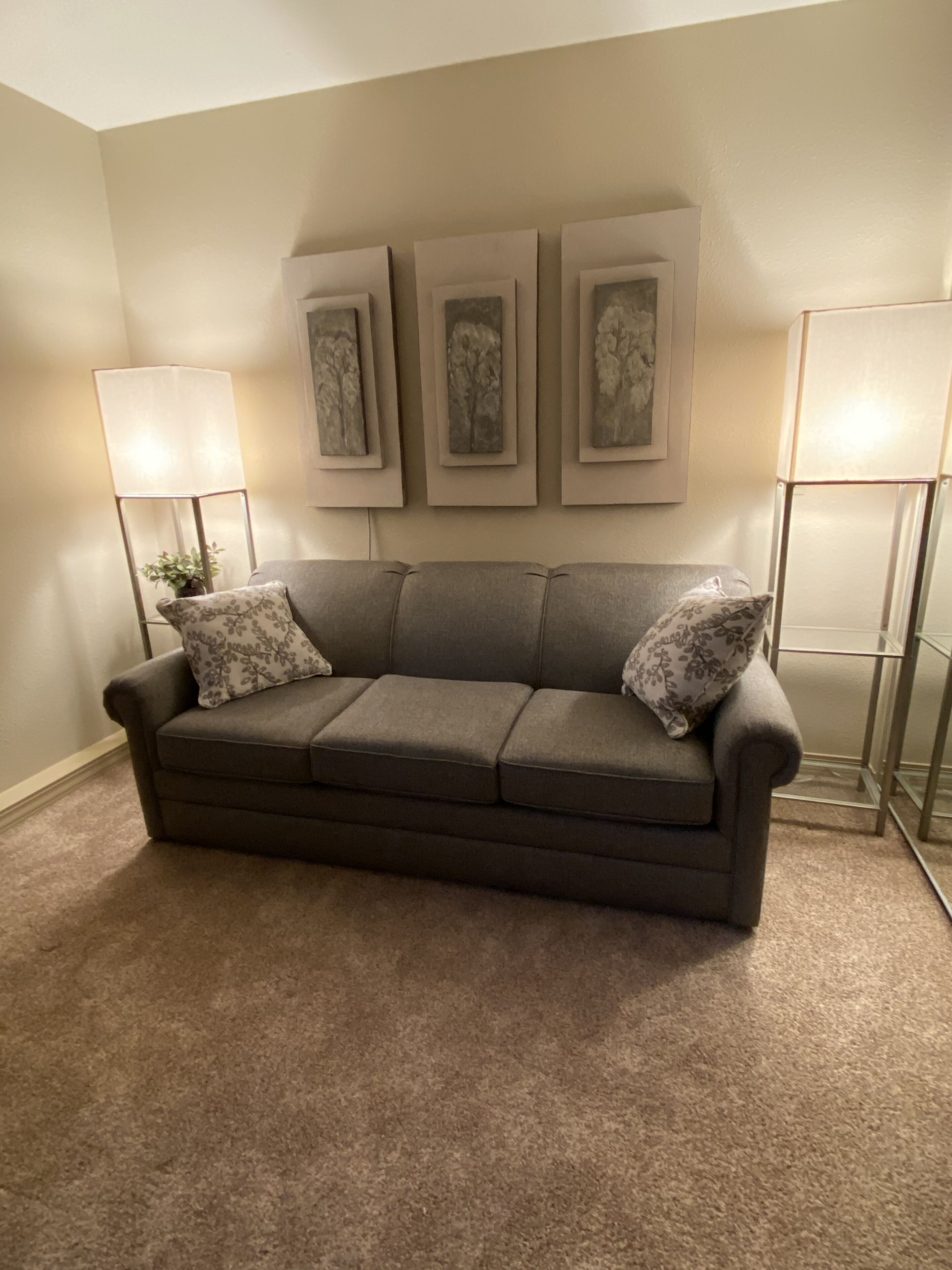 A living room with a gray sofa, two patterned throw pillows, a floor lamp, and three framed artworks on the wall.