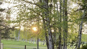 Pyöreä nuotiopaikka, jonka ympärillä on neljä sinistä Adirondack-tuolia. Nuotiopaikka on sijoitettu sorapohjalle, ja taustalla näkyy nurmikko ja puita.
