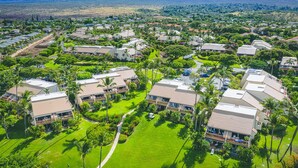 Vista aérea de una zona residencial con varias casas de dos pisos, rodeada de abundante vegetación y palmeras.