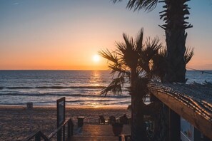 Playa en los alrededores 