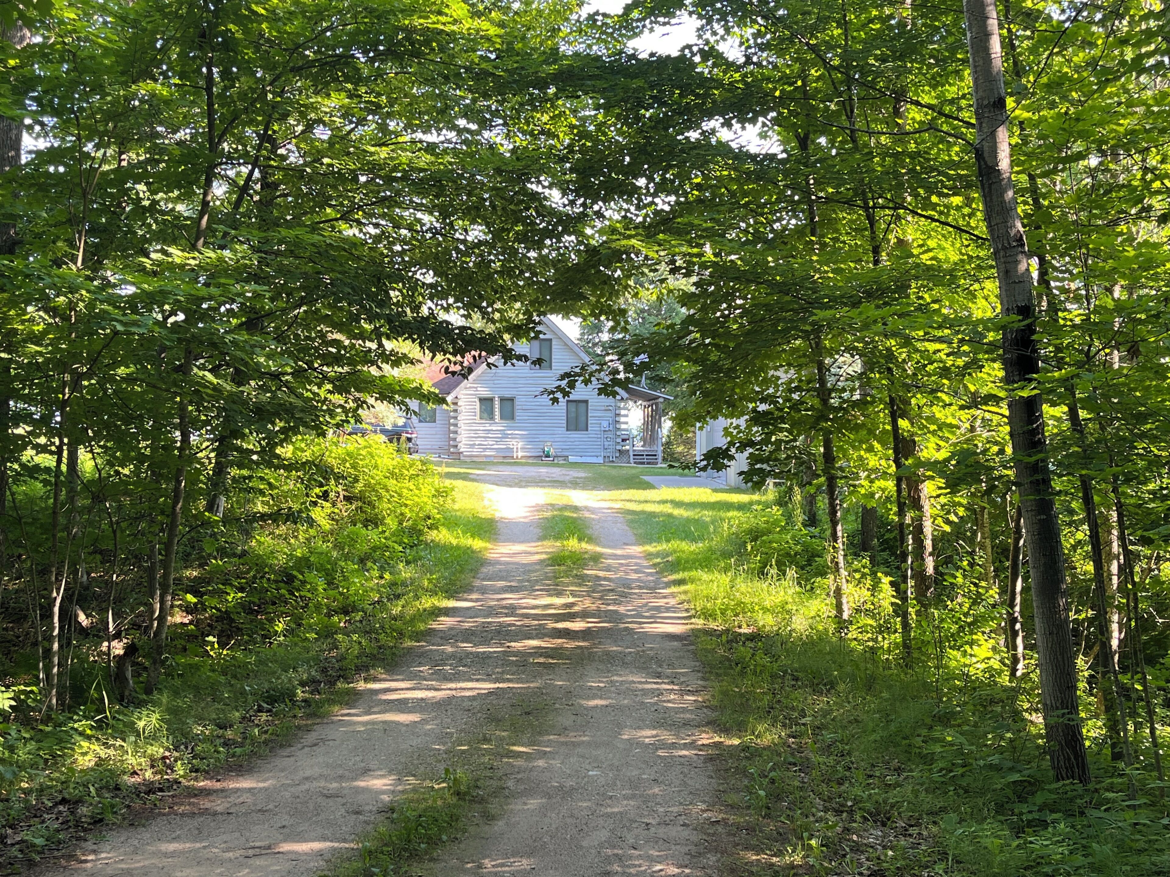 A dirt path leading to a log cabin surrounded by dense green foliage.