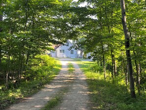 A dirt path leading to a log cabin surrounded by dense green foliage.