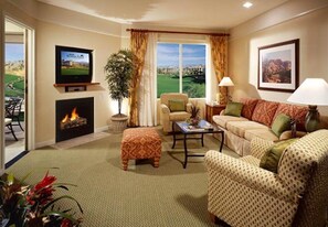 TV, fireplace, DVD player, video library