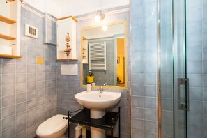 Shower, hair dryer, bidet, towels