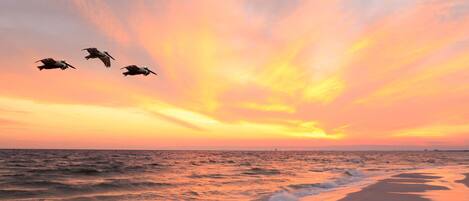 Una playa con olas y un atardecer.