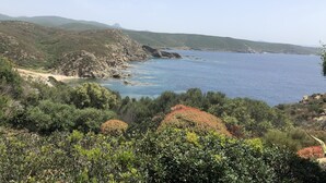 Ett kustlandskap med fri utsikt över havet, klippiga branter och tät vegetation.