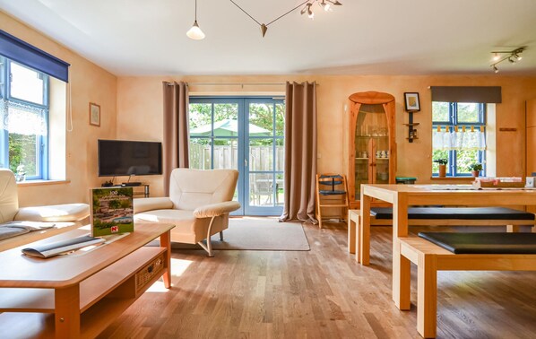 Chimenea, reproductor de DVD, futbolito y tenis de mesa 