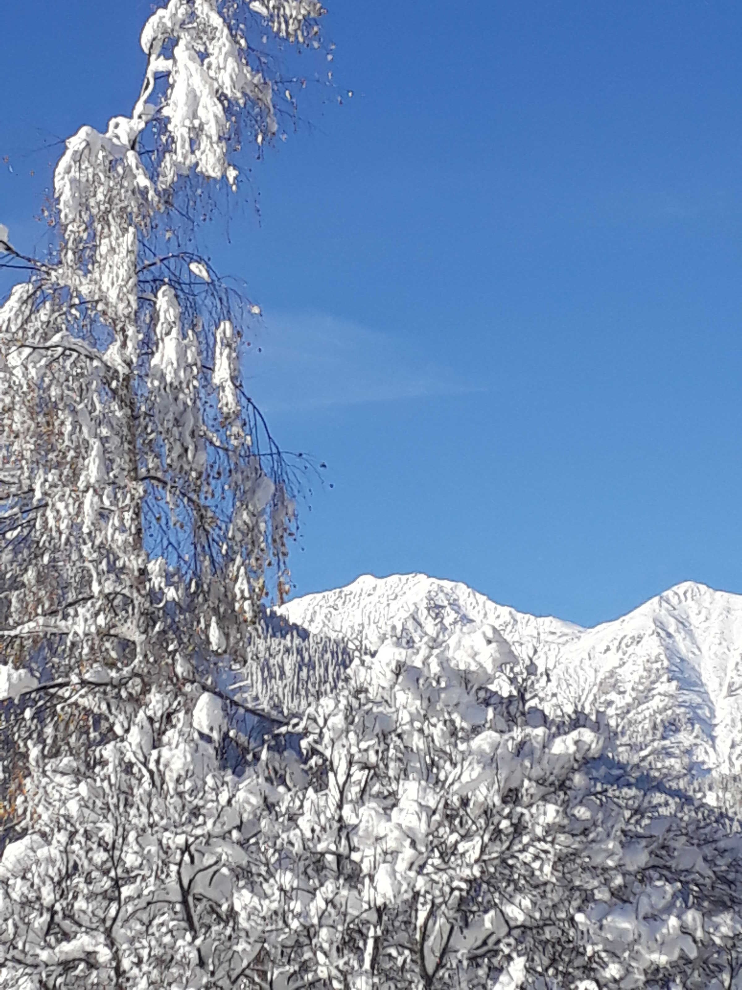 Un paysage de montagne enneigé sous un ciel bleu clair.
