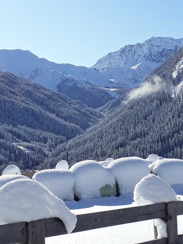 Ferienwohnung 5 - Gästehaus Obererlacher
