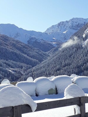 Immagine non classificata, 2 di 44, pulsante