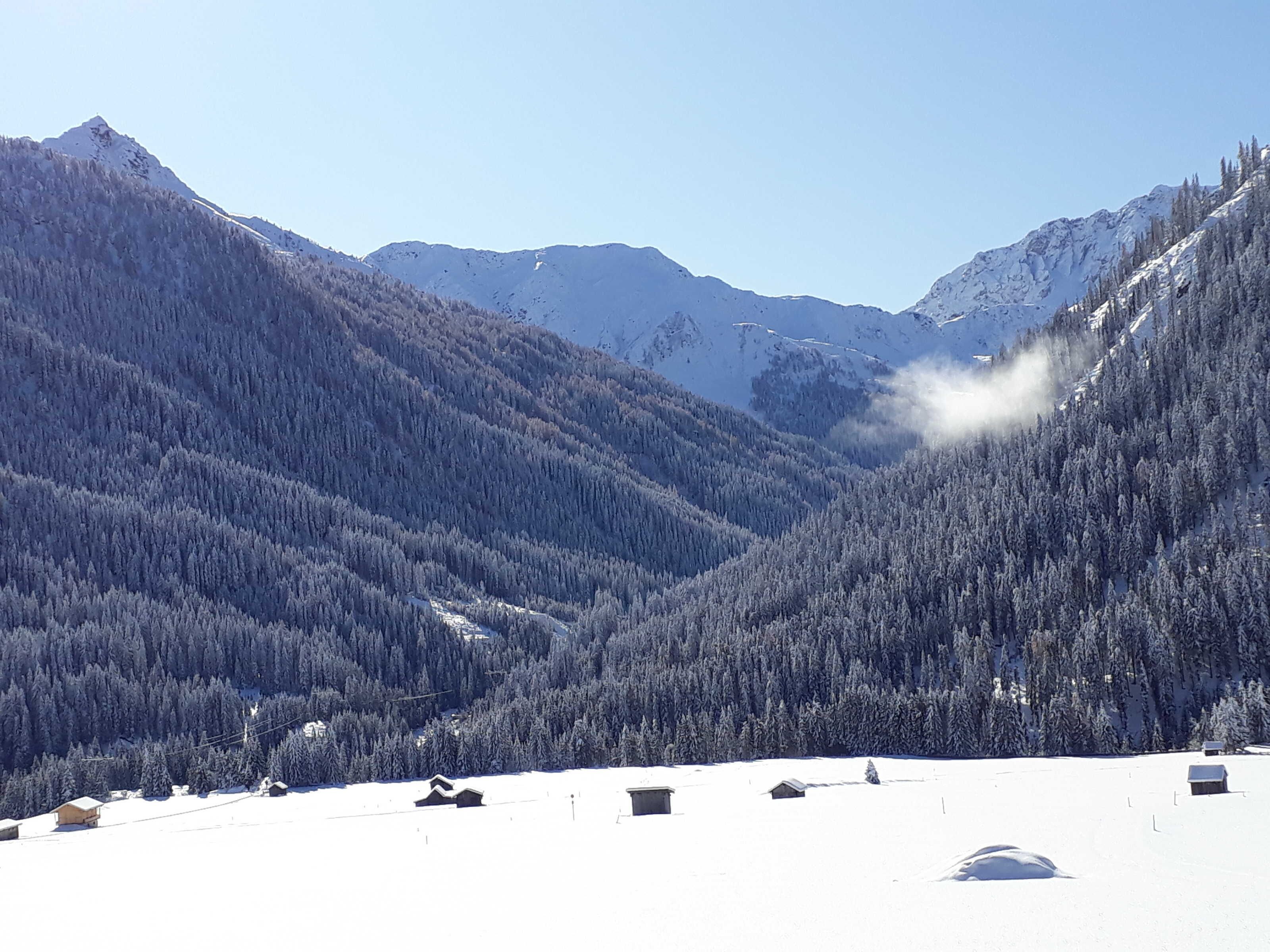 Un paysage montagneux avec des arbres couverts de neige et quelques petits bâtiments.