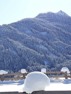 Unclassified image, 4 of 44, button