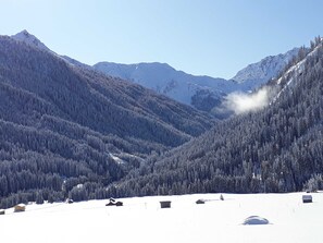 Un paisaje montañoso con árboles nevados y algunos edificios pequeños.