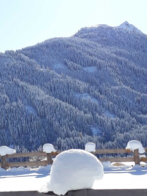 Une montagne enneigée, recouverte d’une forêt dense.