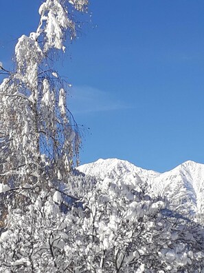 Botón de imagen sin clasificar, 3 de 41