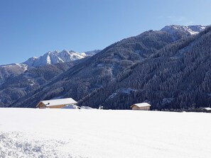 Botón de imagen sin clasificar, 4 de 41