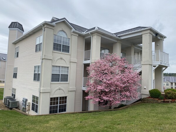 A multi-story residential building with a central staircase, large windows, and a cherry blossom tree in the front yard.