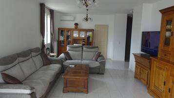 TV, DVD player, table tennis, books