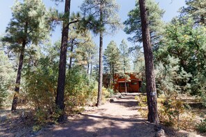Escape to a serene cabin nestled among tall pine trees, accessible via a winding forest path.