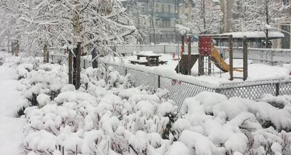 Maison Perce Neige garden apartment, Wifi, Cure tariff.