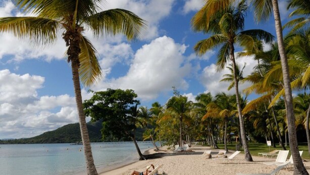 A beach with palm trees, lounge chairs, and a clear sky.