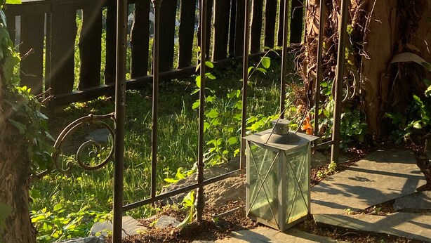 A balcony with a metal railing overlooking a lush green landscape and a river. - Exceptional vacation home in a fantastic location above Rheinfels Castle, Loreley (Sankt Goar)