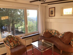 Smart TV, chimenea, libros